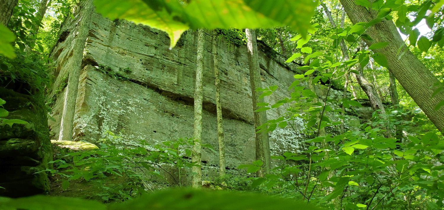 Ferne Clyff SP - Waterfall Trail 